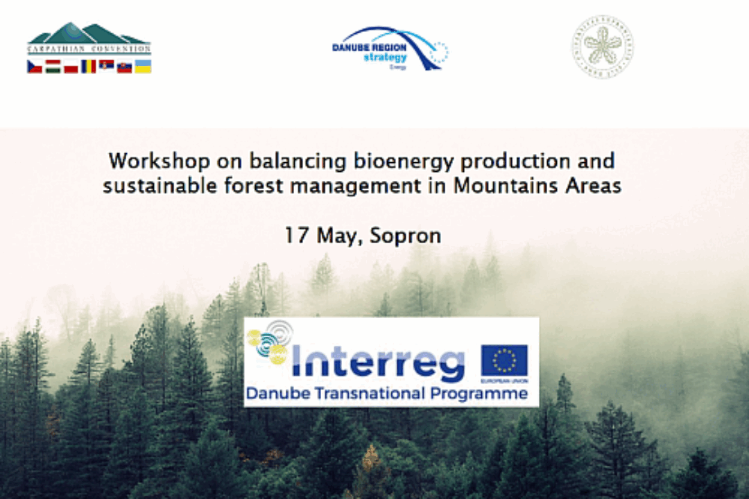 Workshop on balancing bioenergy production and sustainable forest management in Mountain Areas