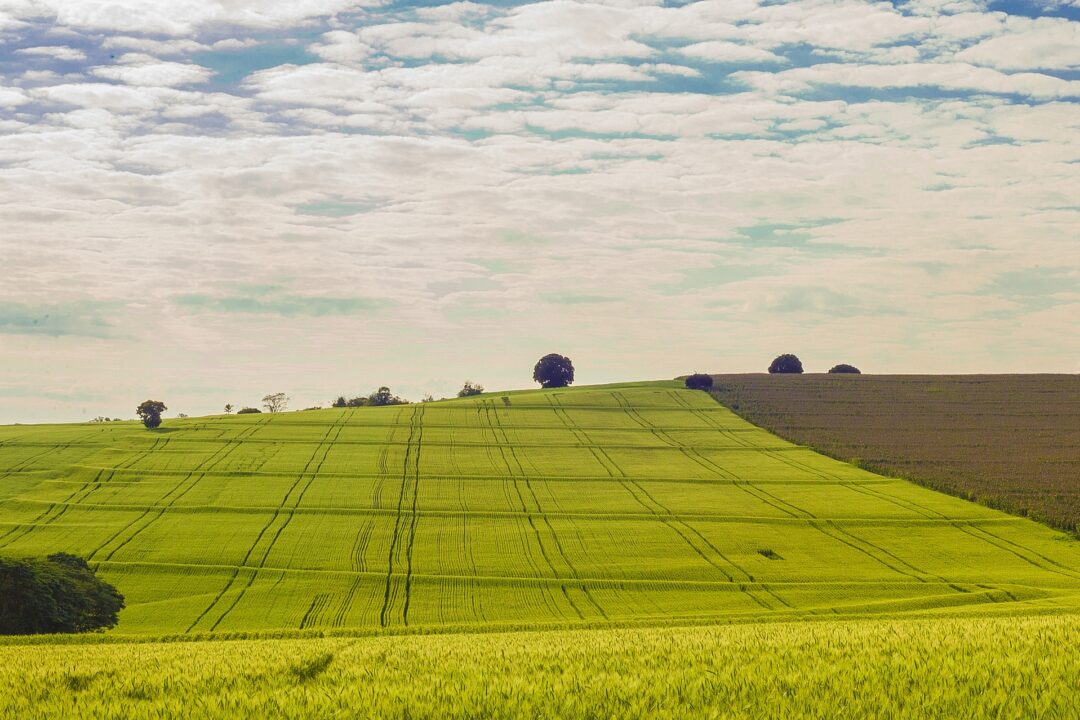 The European Green Deal