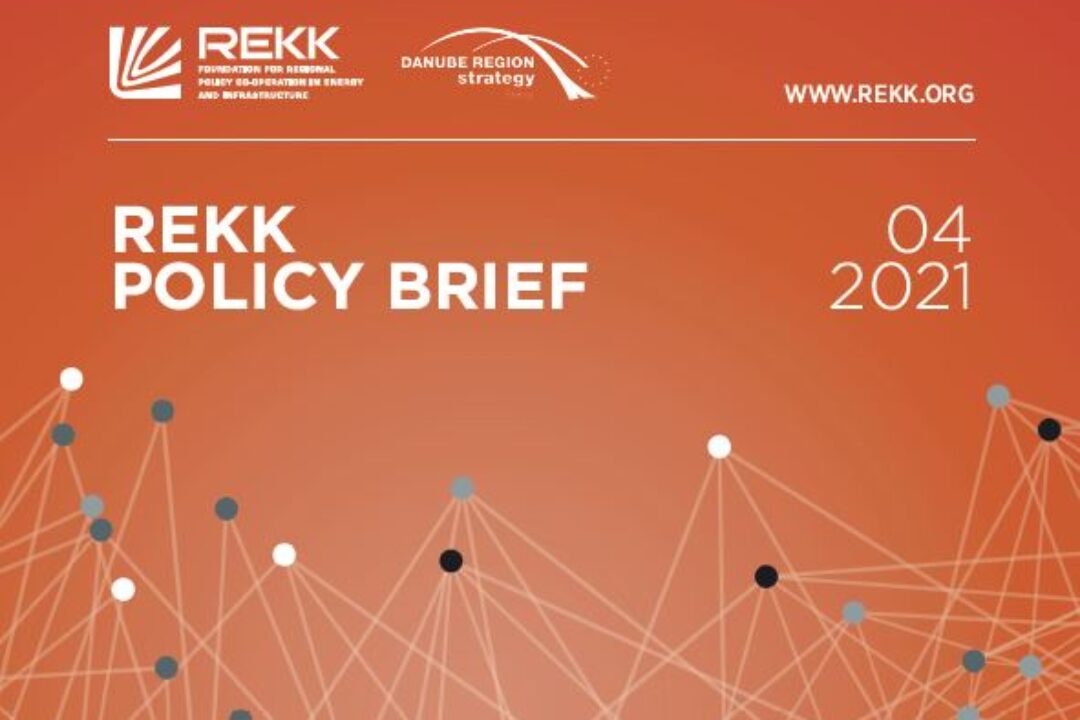 Publication of policy briefs about the Danube Region national energy and climate strategies and the expected developments in the region