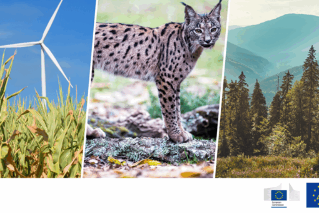 It’s official: EU to invest €5.4 billion in new LIFE projects