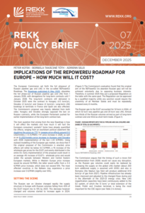 Implications of the REPowerEU roadmap for Europe - How much will it cost?