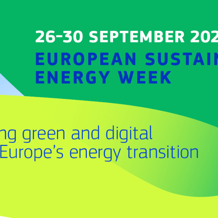 Workshop at EUSEW titled ‘How to accelerate natural gas phase-out in Central Eastern Europe?’